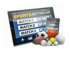 Betwinner Your Gateway to Online Betting Success